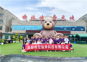 Hengguan Bearing 2025 