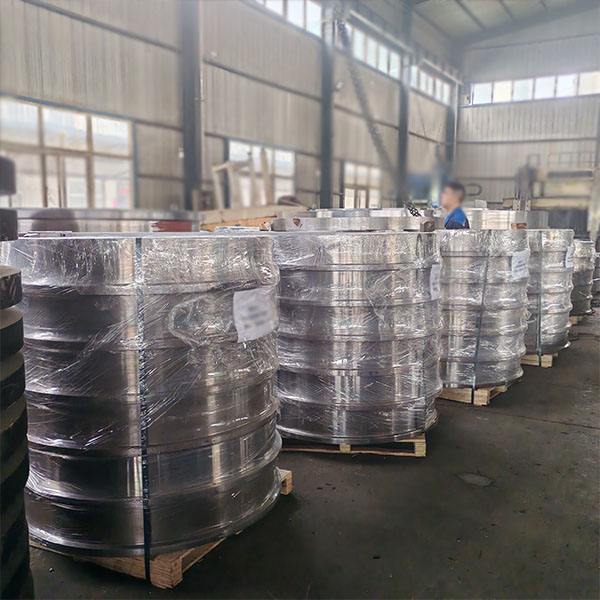 Custom Large Ring Forgings
