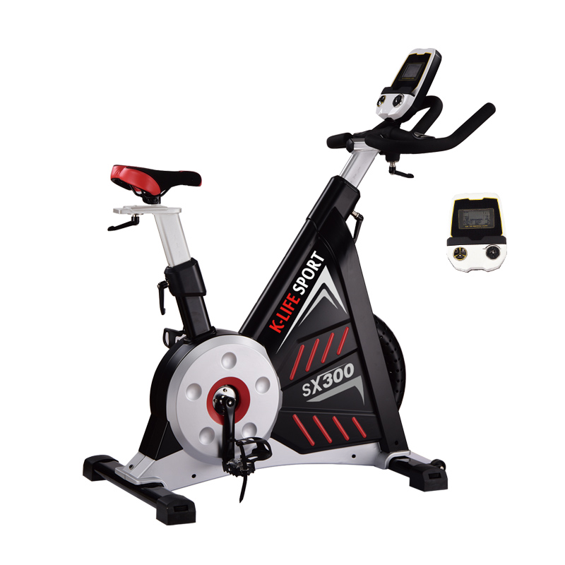 Exercise Magnetic Flywheel Cycling Bike Indoor