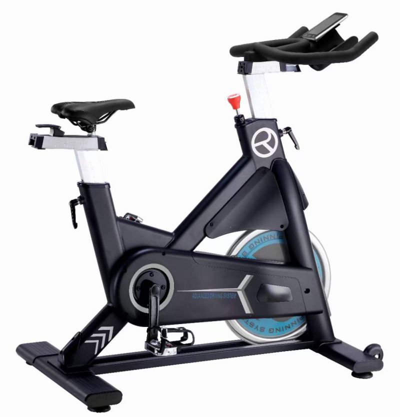 Passions sport best sale spin bike