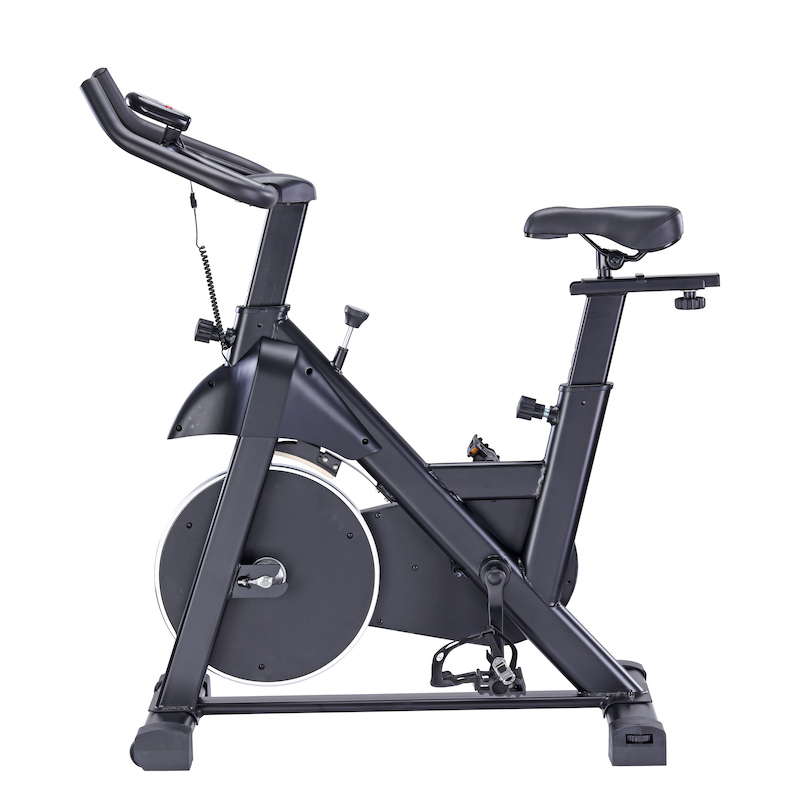 affordable spin bikes for home use