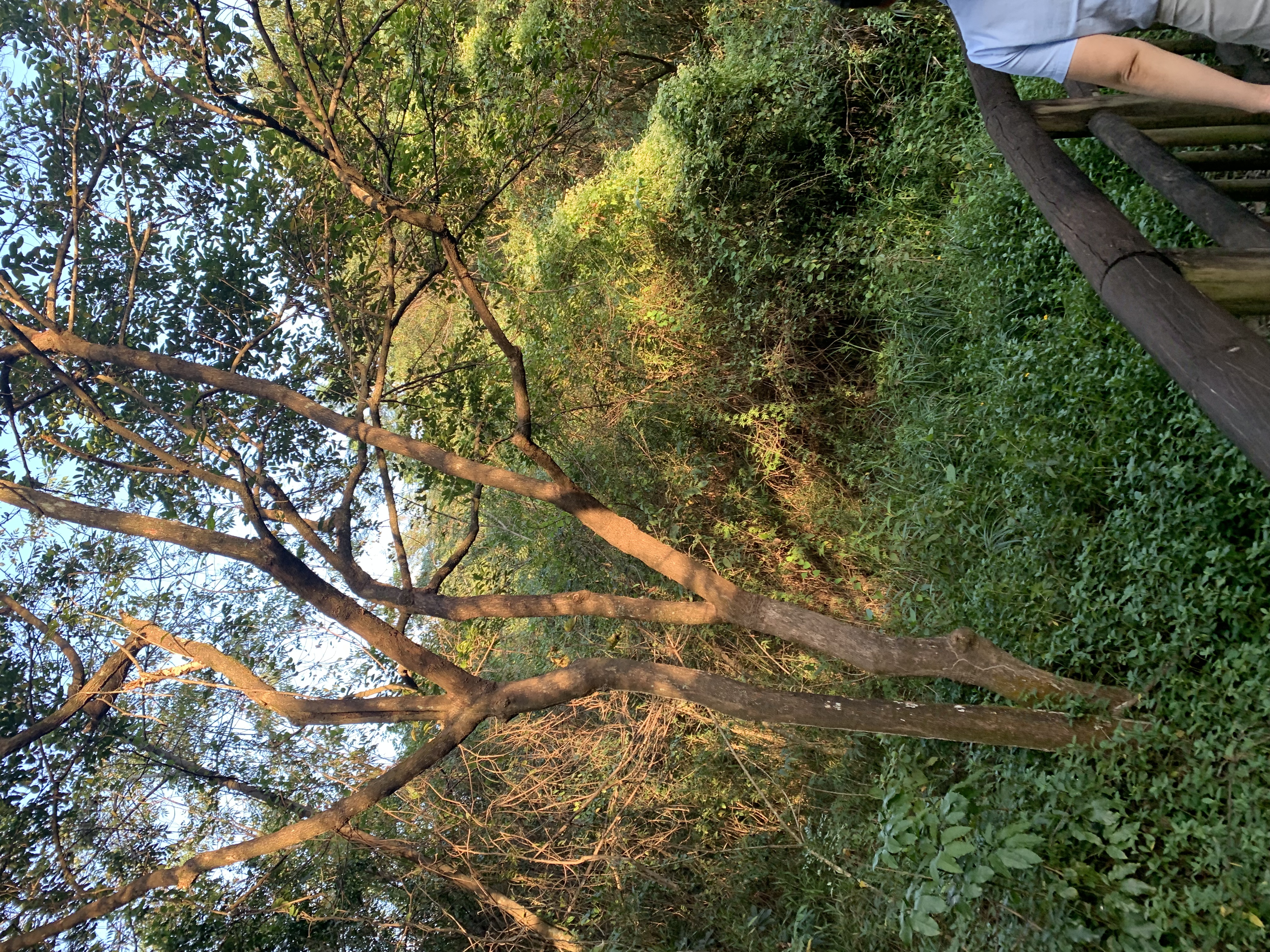 mountain climbing mountain climbing