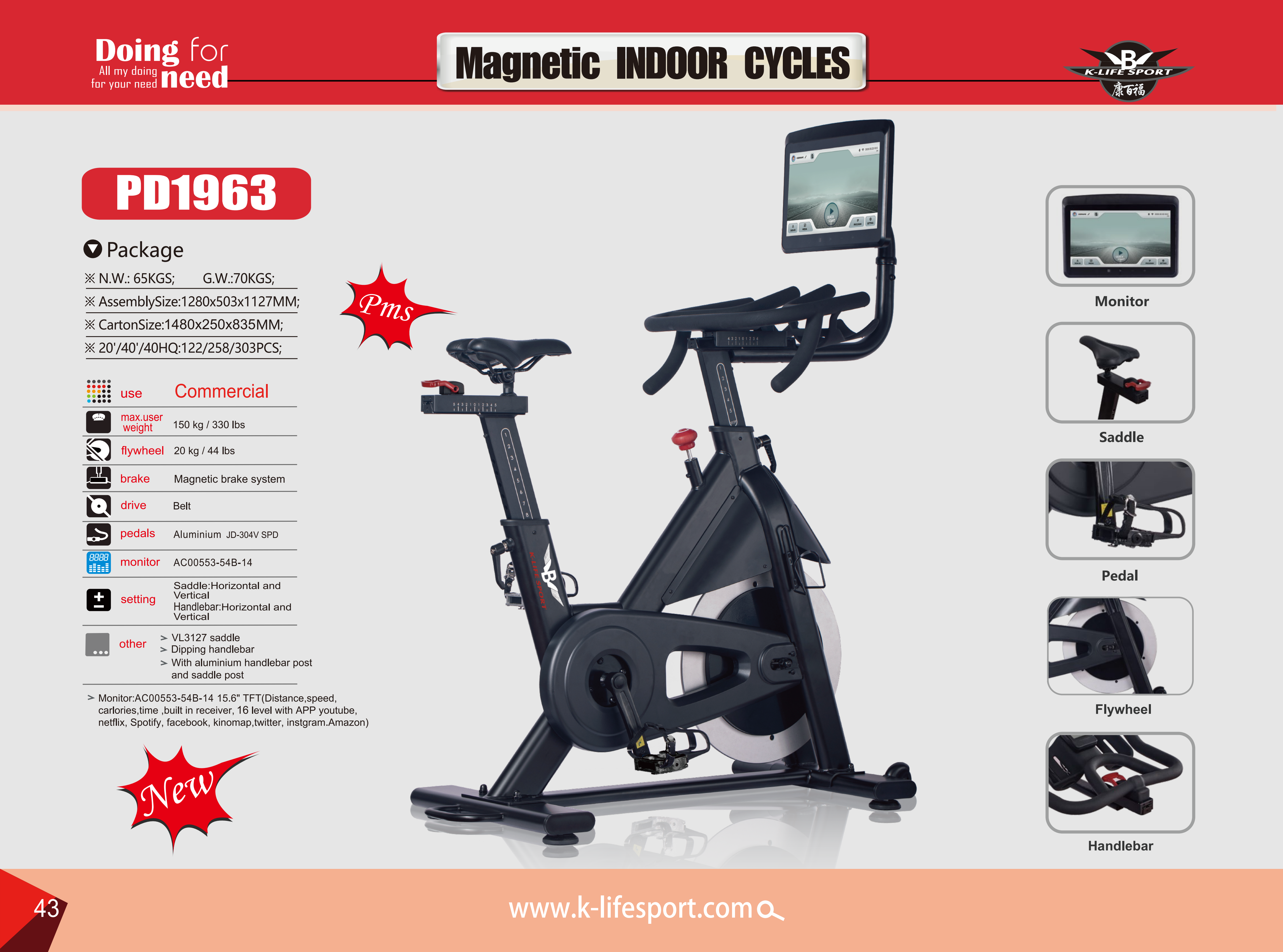 magnetic spin bike