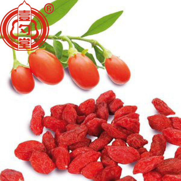 Bulk Chinese Dried Goji Berries
