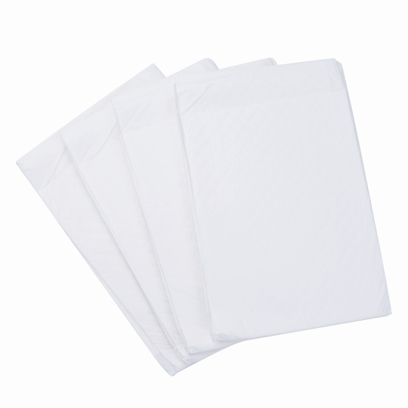 OEM-Trainingsunterlagen für Welpen