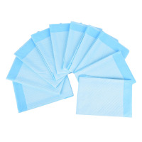 Disposable pet training pee pads