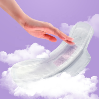 Umweltfreundliche Damenbinden mit Anionen online