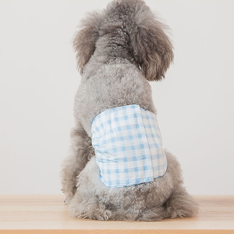 Involucri maschili per pannolini per cani di grandi dimensioni