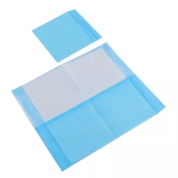 OEM-Trainingsunterlagen für Welpen