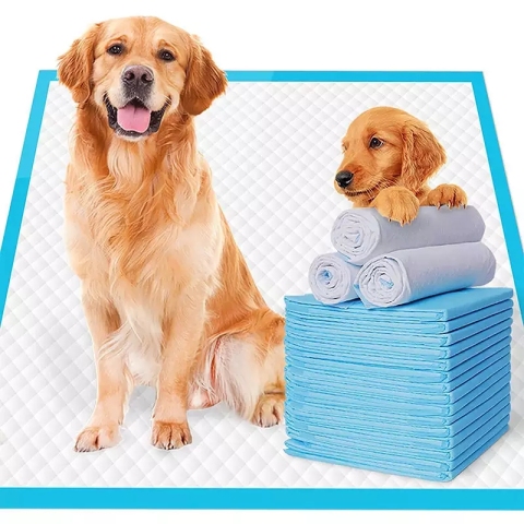 Almohadillas desechables para orinal para perros mayores
