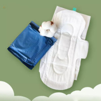 Einweg-Damenbinde mit Anionenchip