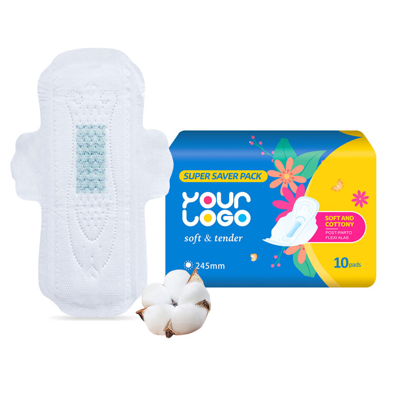 Supply Sanitary Napkin for Period Wholesale Factory Quanzhou Xili