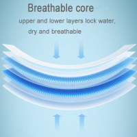 Adult Absorbent Pant Type Diaper Underwear