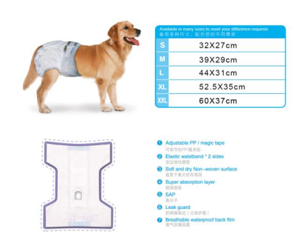 dog diaper