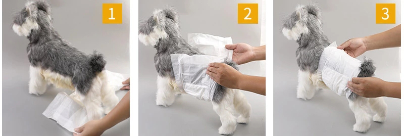 female dog diapers