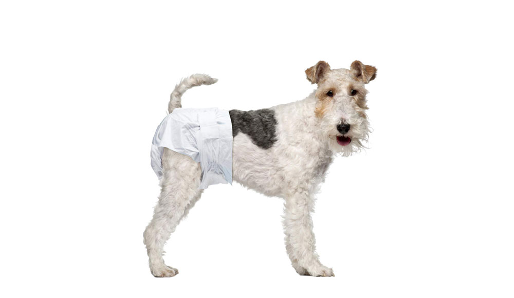 pet diapers