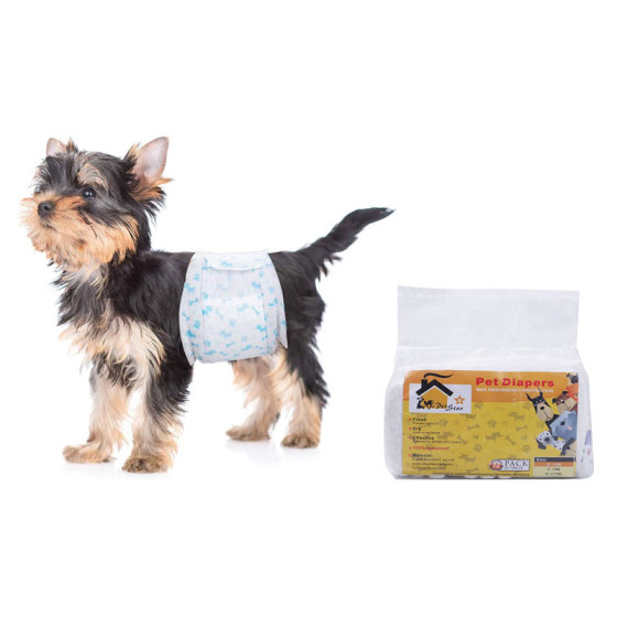 Hundewindeln: Windeln für Rüden und Windeln für Hündinnen