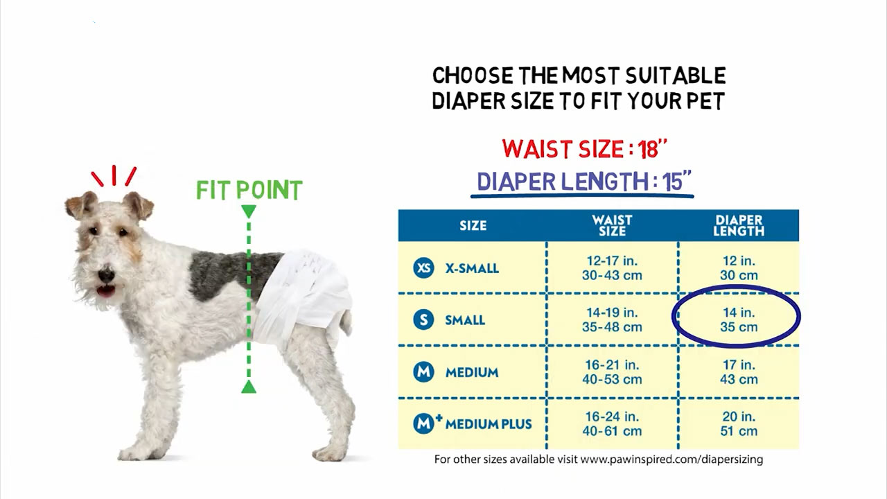 disposable dog diapers