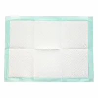 Disposable puppy pads training pet pads for dogs