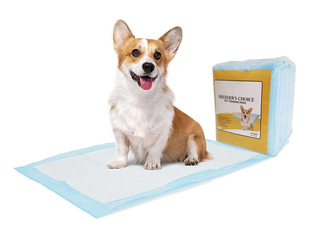 disposable pet pads