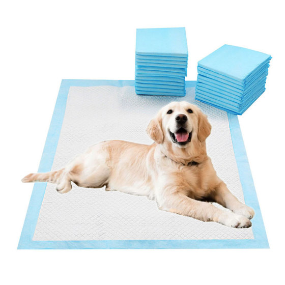 Comprensión de las compresas desechables para mascotas: Cómo elegir el tamaño adecuado para su perro