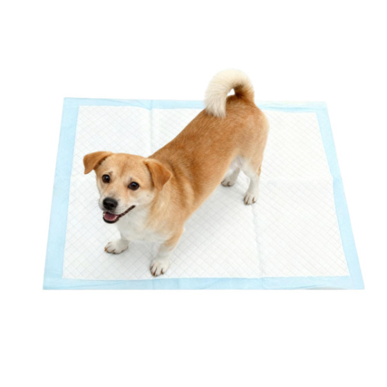 Brazil's pet economy is heating up, and the pet mat market is facing new opportunities.