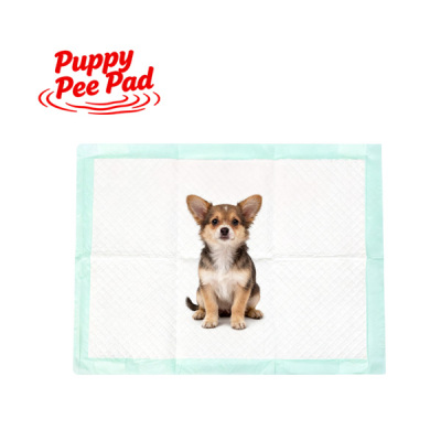 The Philippine pet pee pad market is poised for growth, with Chinese brands leveraging localization to break into the market.