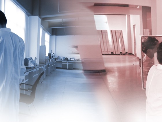 Máquina médica de terapia con equipo de nivel láser frío No2