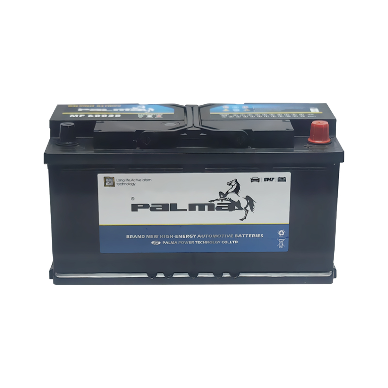 Batterie résistante de 60038 12V100ah MF pour des camions