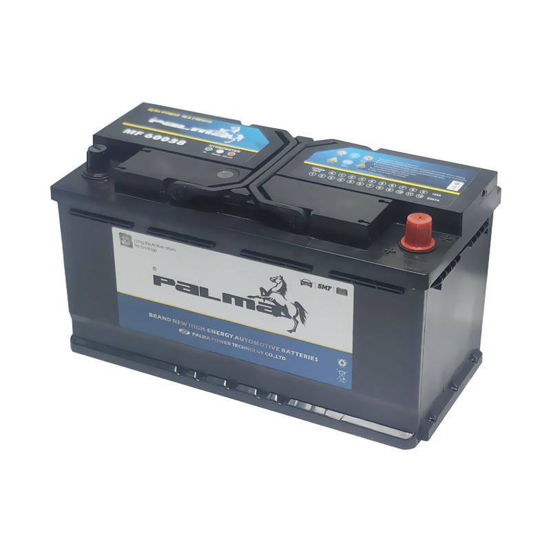 Batterie résistante de 60038 12V100ah MF pour des camions