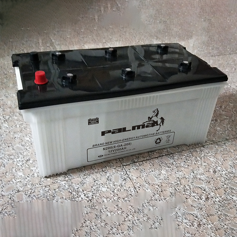 Rechargeable Dry Charged Lead Auto Battery