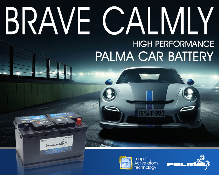 AGM car battery