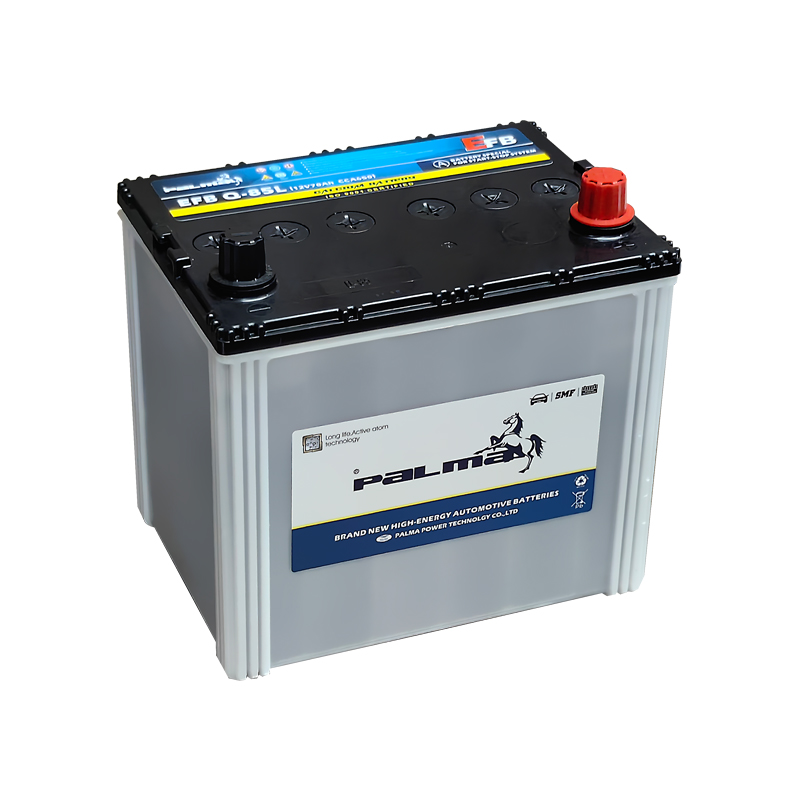 EFB Car Batteries