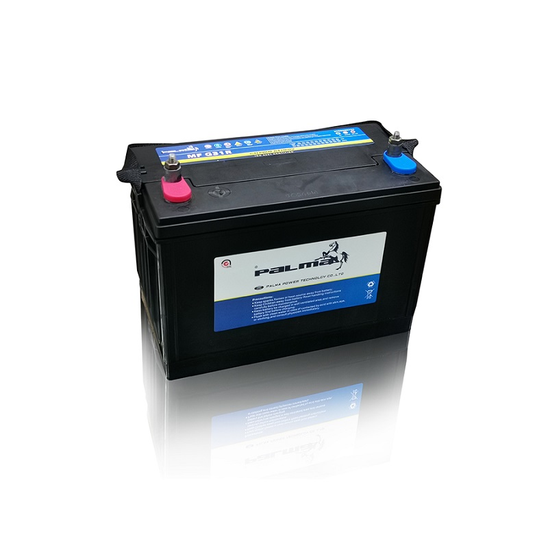 G31 Double Terminal Marine Battery