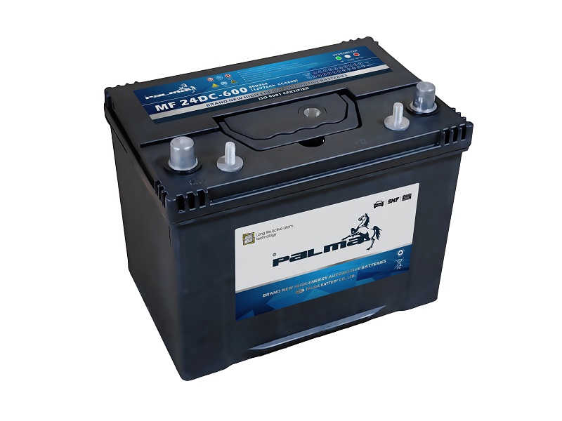 Palma BCI Battery 24DC-600 Dual Terminal Maintenance-Free Deep Cycle 12V70Ah Start Battery Warranty for Car Truck Replacement