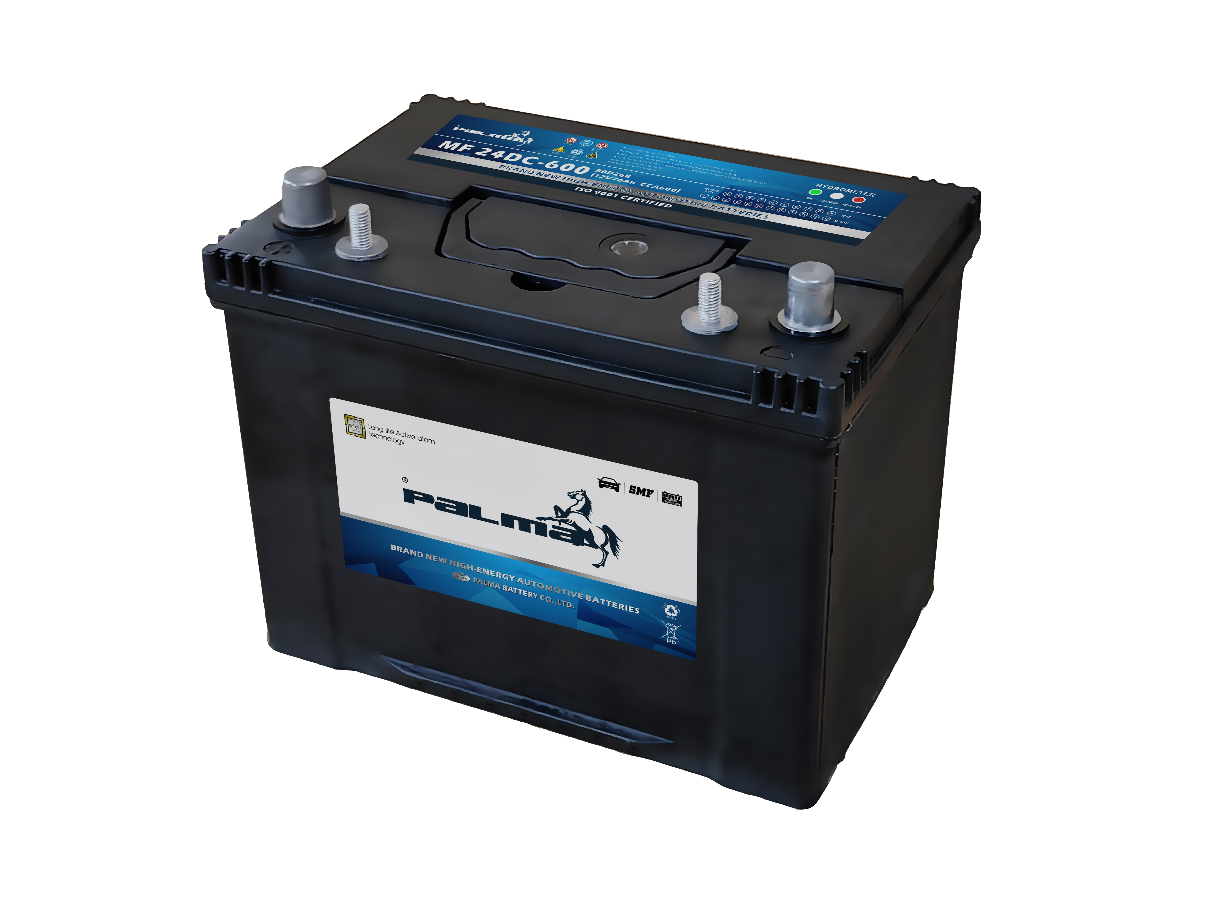 Palma BCI Battery 24DC-600 Dual Terminal Maintenance-Free Deep Cycle 12V70Ah Start Battery Warranty for Car Truck Replacement