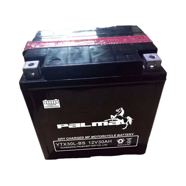 연례 총회 젤 오토바이 배터리 YTX30L-BS 12V 30Ah 밀폐형 배터리 (모터용)