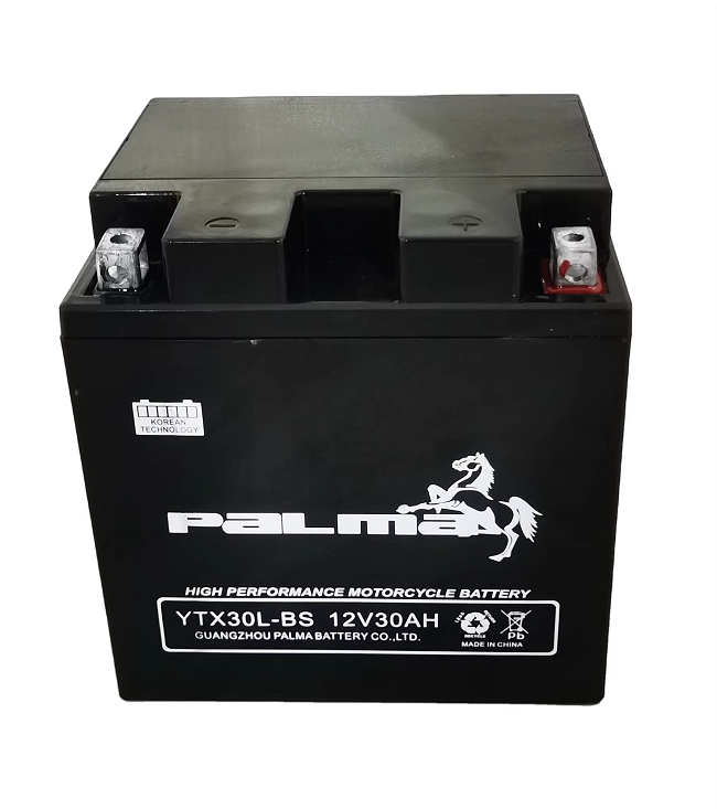 Batterie moto AGM GEL YTX30L-BS 12 V 30 Ah scellée pour moteur