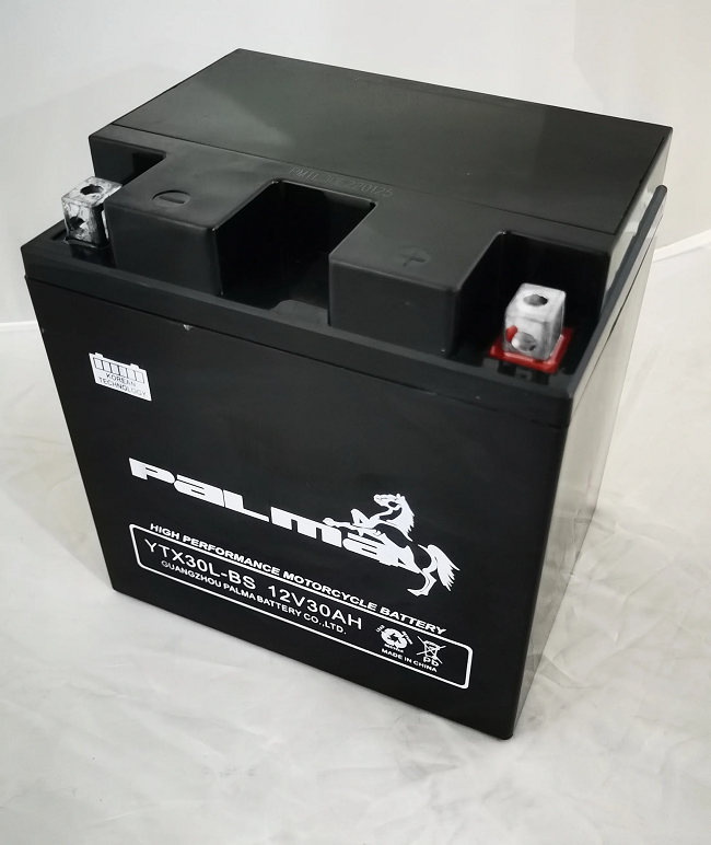 연례 총회 젤 오토바이 배터리 YTX30L-BS 12V 30Ah 밀폐형 배터리 (모터용)