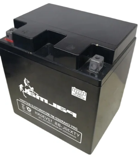 연례 총회 젤 오토바이 배터리 YTX30L-BS 12V 30Ah 밀폐형 배터리 (모터용)