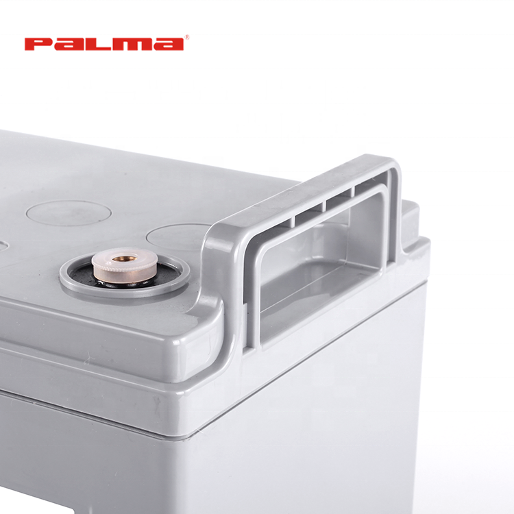 Factory Direct Sale Palma Sealed Lead Acid Maintenance-free Solar Inverter Battery 12v 100Ah PM100C-12