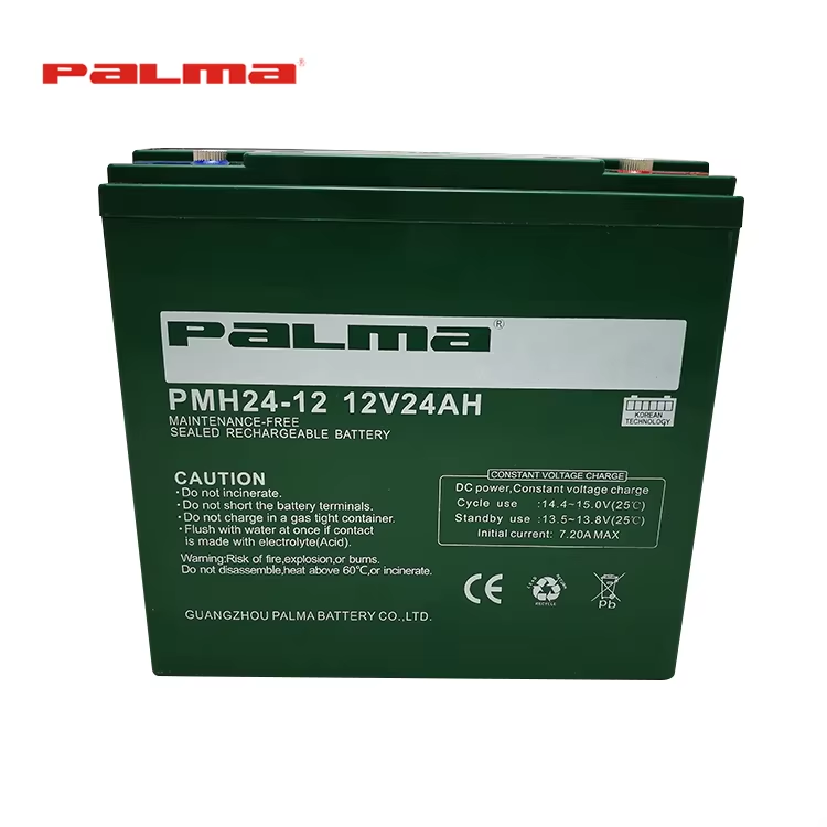 Palma Ebike 12V 24AH Maintenance Free Lead Acid VRLA Battery for Electric Wheelchair PMH24-12
