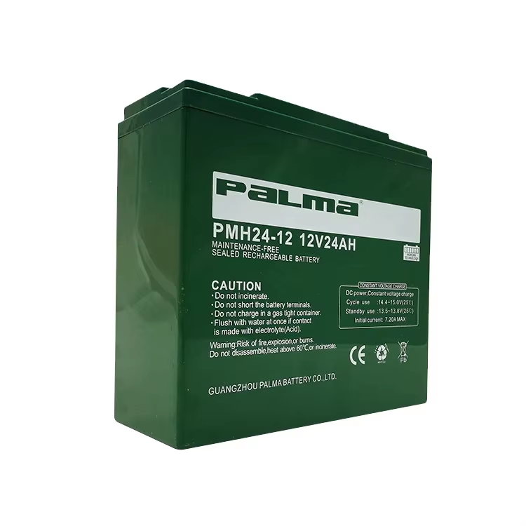 Palma Ebike 12V 24AH Maintenance Free Lead Acid VRLA Battery for Electric Wheelchair PMH24-12