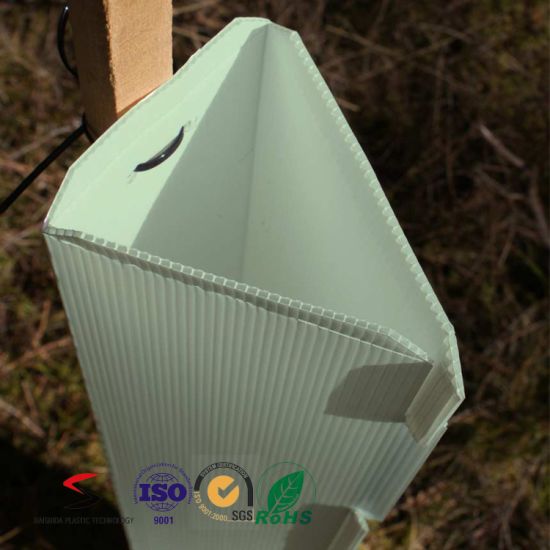 PP Plastic Corrugated Corflute Tree Guards