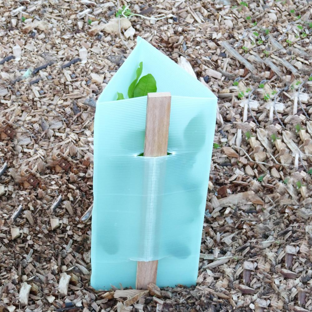 PP Plastic Corrugated Corflute Tree Guards
