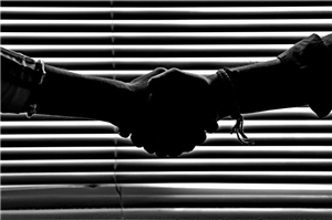 Custom Solutions Achieve Processing Quality Improvement and Efficiency Enhancement