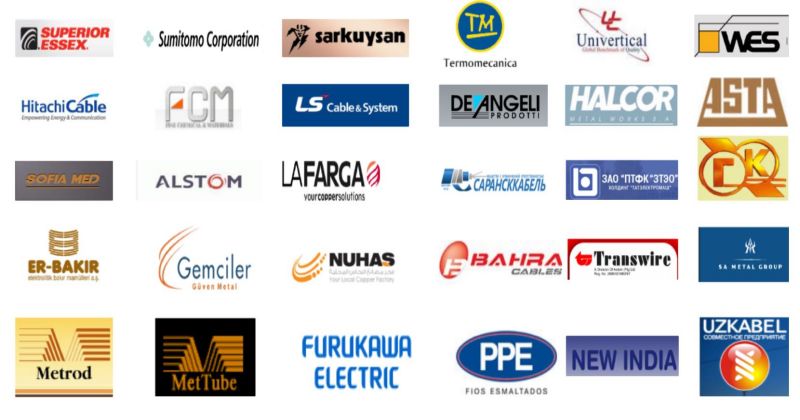 बाजार वितरण बाजार वितरण