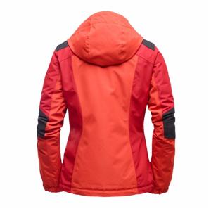 High quality new style 3 in 1 waterproof ski jacket ladies