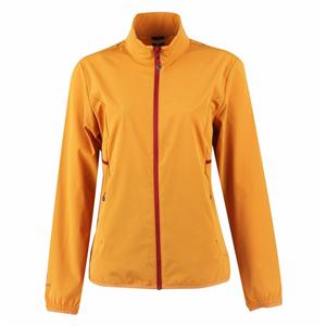 European fashion Mens Spring&Autumn outer door wear wind breaker &wind proof &waterproof bomber jackets