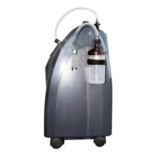 Oxygène pour animal Concentrateur d'oxygène portable à double flux 10l pour hôpital pour animaux de compagnie